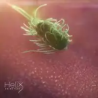 انیمیشن جالبی از فعالیت ۲۴ ساعته سلول‌های ایمنی بدن