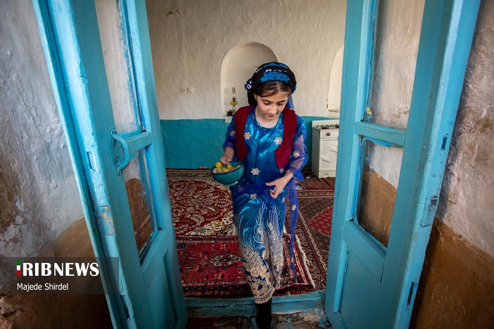 برداشت محصول و دختران سنتی پوش روستای "حیدره قاضی خان"