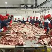 حرف‌های مهم مقام وزارت جهاد درباره بازار گوشت
