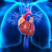 درمان سنتی گرفتگی رگ های قلب و حرارت کبد