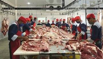 حرفهای مهم مقام وزارت جهاد درباره بازار گوشت