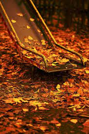 یادش بخیر پاییز