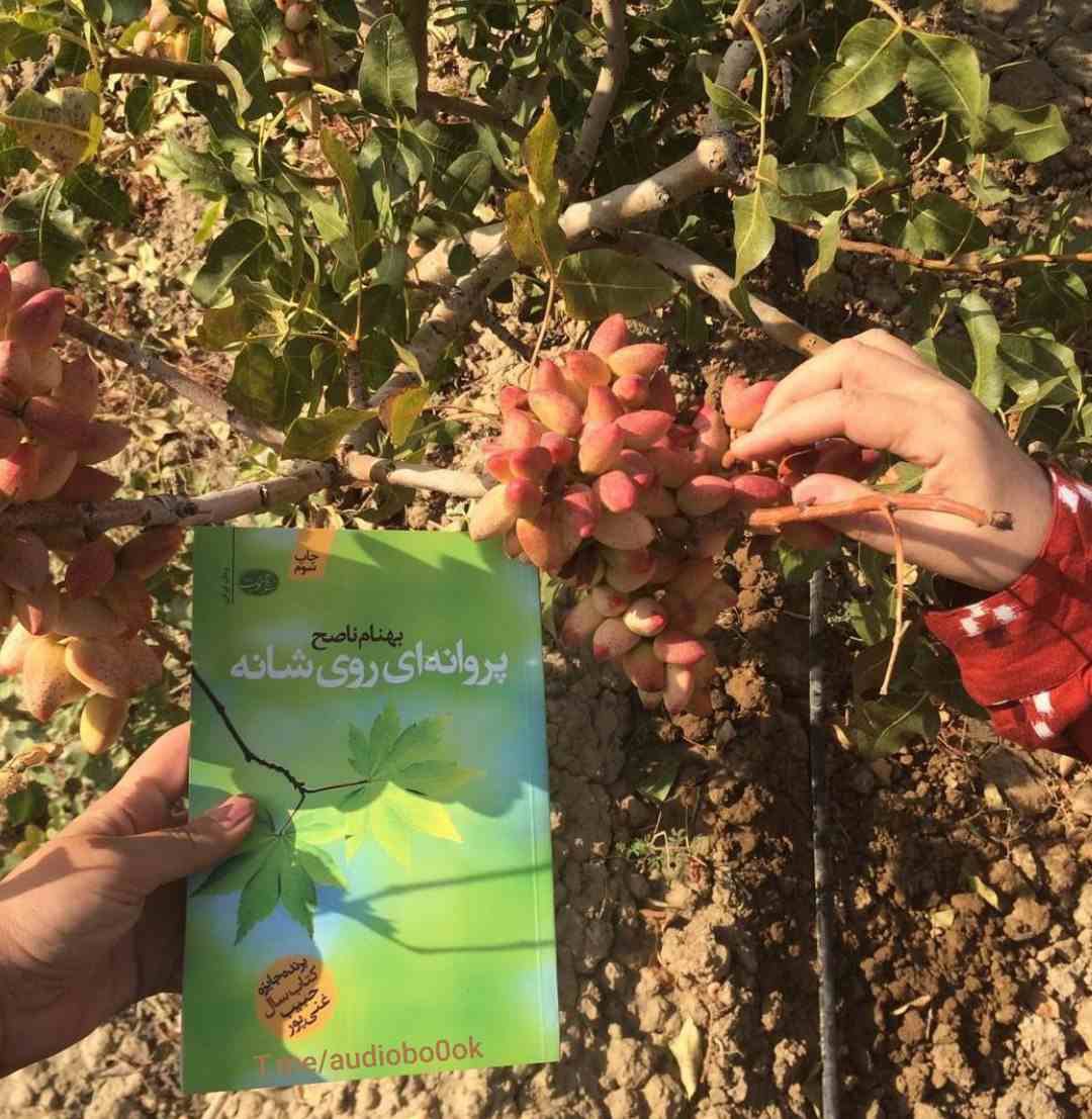 دو خط کتاب/ تازه میفهمی پیش از آن خوشبخت بودی