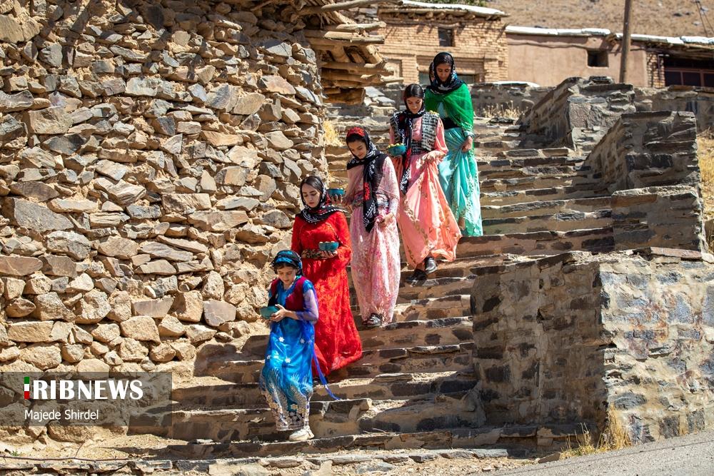 برداشت محصول و دختران سنتی پوش روستای "حیدره قاضی خان"