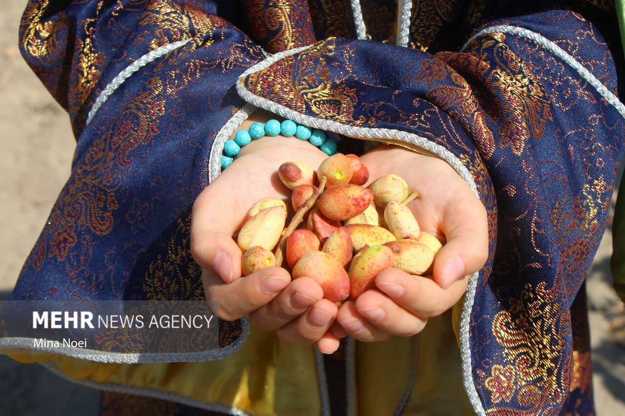 عکس/ جشنواره پسته قشلاق