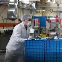 انحراف یارانه‌ای دولت در صنعت لبنیات