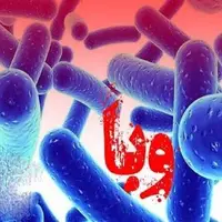 شناسایی یک مورد ابتلا به بیماری وبا در سقز