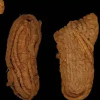 گوناگون/ کشف قدیمی‌ترین کفش‌های اروپا