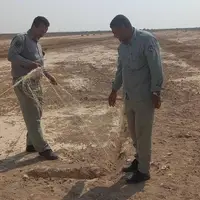 جلوگیری از زنده‌گیری پرندگان در خوزستان با تخریب کوخه‌ها