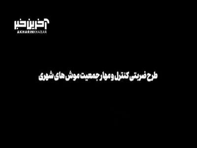 تهران به مبارزه با موش ها می رود؛ تله شهرداری برای موش های تهران