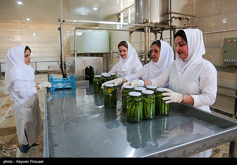 بازدید مدیر عامل صندوق کار آفرینی از طرح زیپ لاین در کردستان 