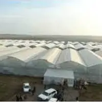 ایجاد شهرک گلخانه‌ای در شهرستان گلوگاه