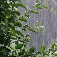 پیش‌بینی بارش پراکنده باران در برخی استان‌ها