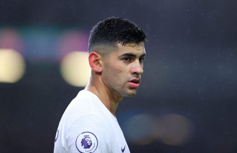 لجبازی مدافع تاتنهام با ستاره لیورپول؛ گریه کن!