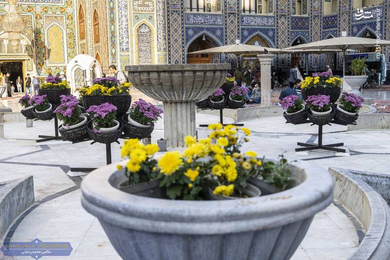 عکس/ گل‌آرایی حرم رضوی در آستانه ۱۷ ربیع‌الاول