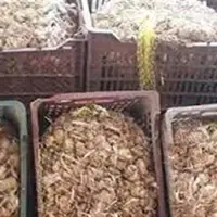 کشف قریب به 3 تن پیاز زعفران قاچاق در شهرستان زیرکوه