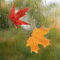 آسمان ایلام تا پایان هفته بارانی است