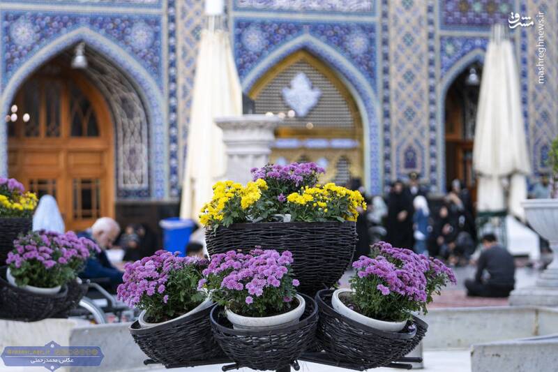 عکس/ گل‌آرایی حرم رضوی در آستانه ۱۷ ربیع‌الاول