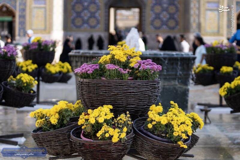 عکس/ گل‌آرایی حرم رضوی در آستانه ۱۷ ربیع‌الاول