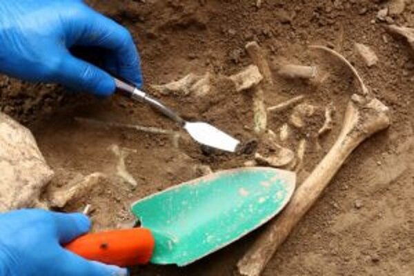 دستگیری حفاران غیرمجاز آثار تاریخی در دهلران