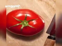 زوم حداکثری روی گوجه فرنگی