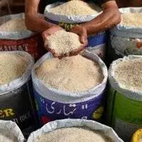 قیمت برنج مازندران کیلویی چند؟