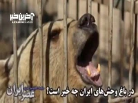 در باغ‌ وحش های ایران چه میگذرد؟