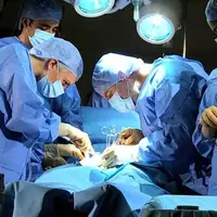 تشریح پرداخت کارانه و کسری آن از جراح فوق تخصص عروق استان بوشهر