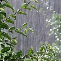 کاهش دما تا ۱۰ درجه در بیشتر نقاط کشور