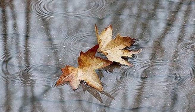 باران و سرمای پاییزه در راه خراسان شمالی