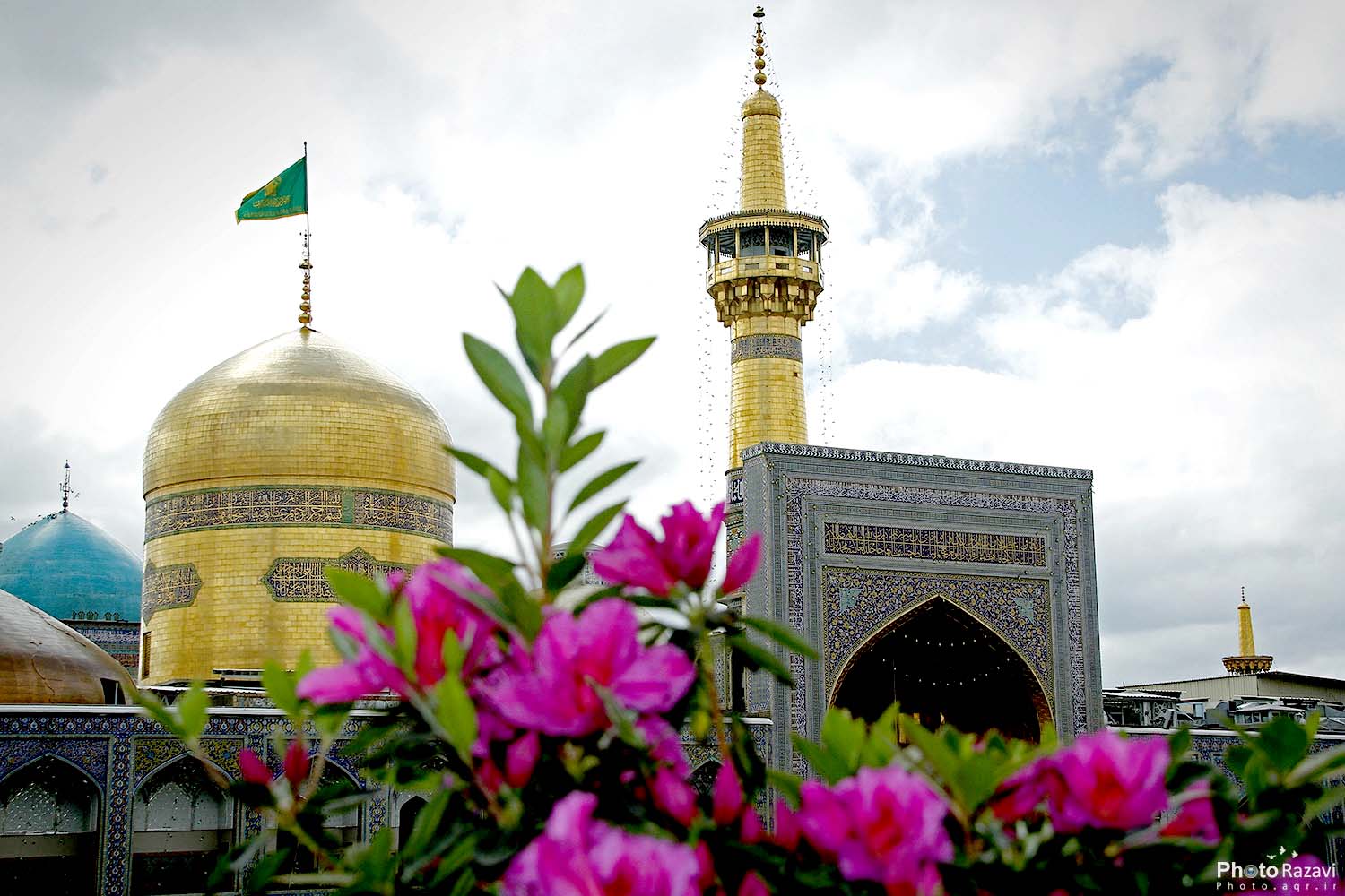 حکمت/ ویژگی‌های مومنان واقعی در کلام امام رضا (ع)