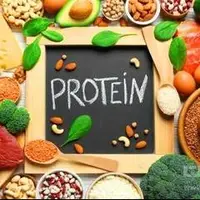 اگر قصد کاهش وزن دارید، از مصرف پروتئین غافل نشوید
