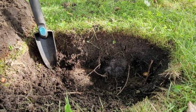 4گوشه دنیا/ کشف غافلگیرکننده در حیاط خانه