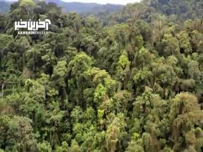 نماهنگی سِحر انگیز با موسیقی بی کلام و آرامش بخش