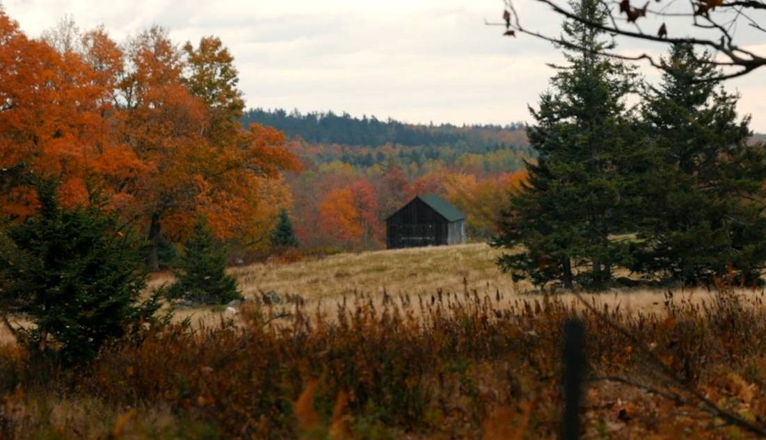 نماهنگ پاییزی و آرامش بخش به نام «بی نهایت»