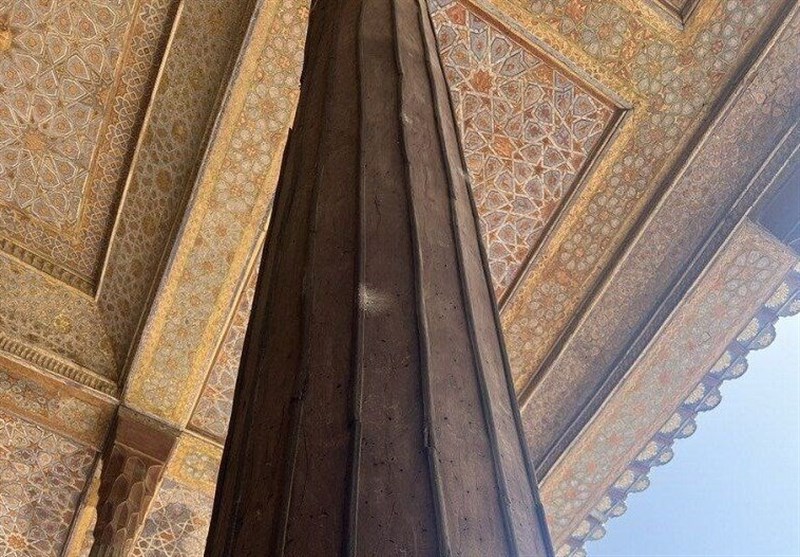 واکنش میراث فرهنگی به ماجرای حمله موریانهها به چهلستون