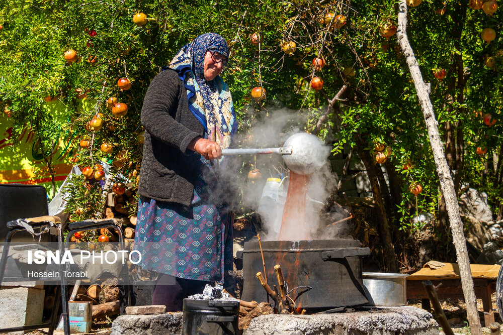 عکس/ فصل چیدن یاقوت‌های سرخ در روستای «دورک اناری»