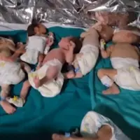 آخرین وضعیت نوزادان نارس در بیمارستان شفای غزه