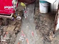 بارندگی شدید بر مصائب فلسطینی‌ها افزود