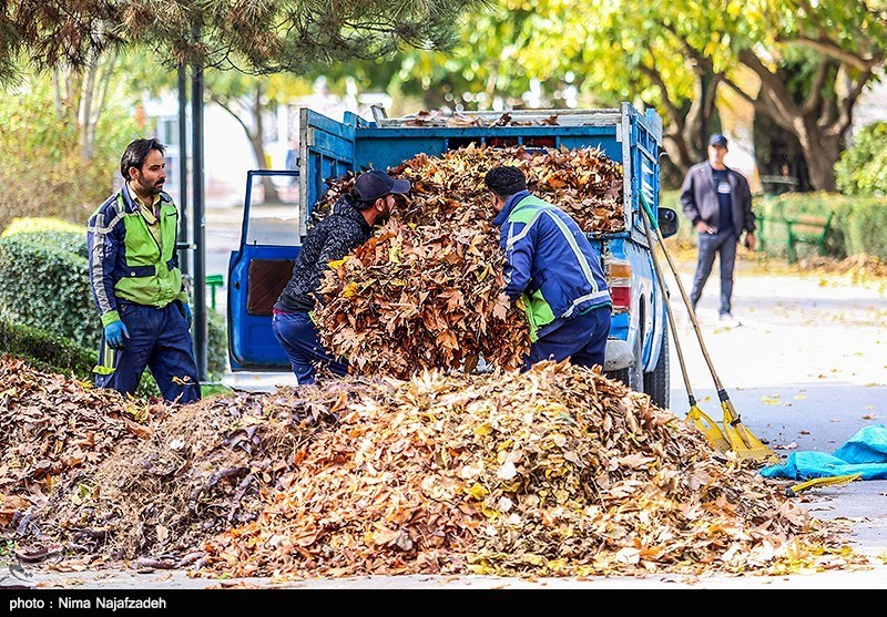 عکس/ طبیعت پاییزی در مشهد