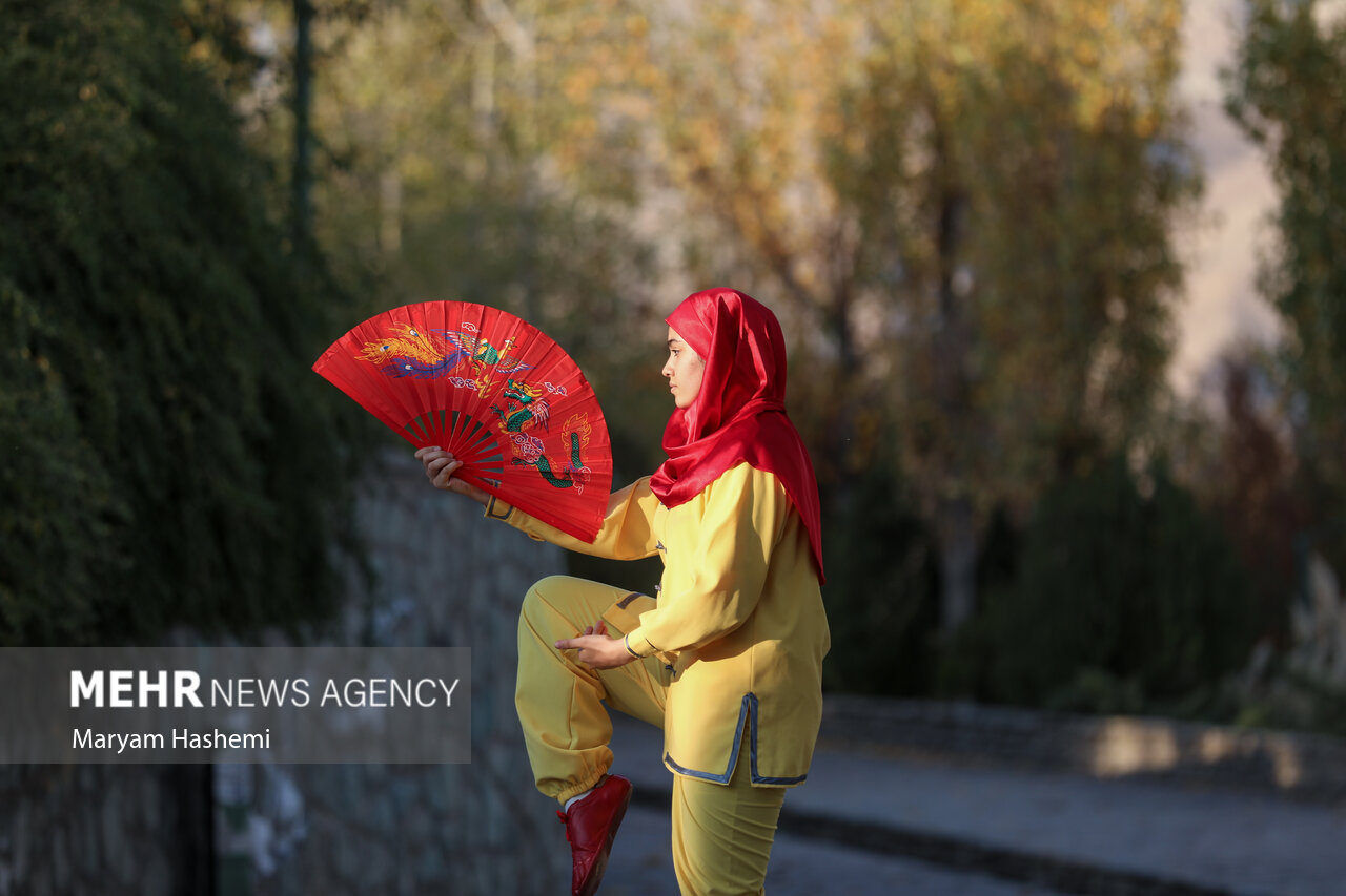 همایش «تای چی علیه دیابت» در تهران