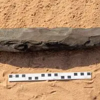 4گوشه دنیا/ رازگشایی از سنگ عجیبی که در عربستان سعودی پیدا شد!