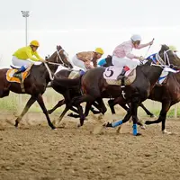 اسب‌های برتر مسابقات اسبدوانی راز و جرگلان مشخص شدند