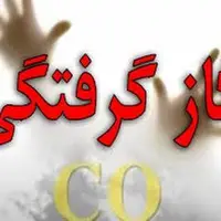 استفاده از زغال برای گرمایش در بادرود حادثه‌ساز شد