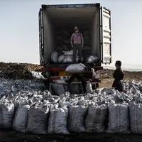 تخریب کوره‌های زغال در منطقه جنگلی فیروزآباد کرمانشاه