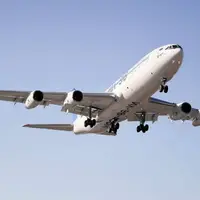 ویدئویی از شاخ به شاخ شدن هواپیما با یک کبوتر +16
