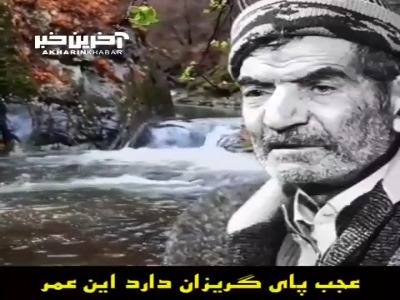 عجب پای گریزان دارد این عمر