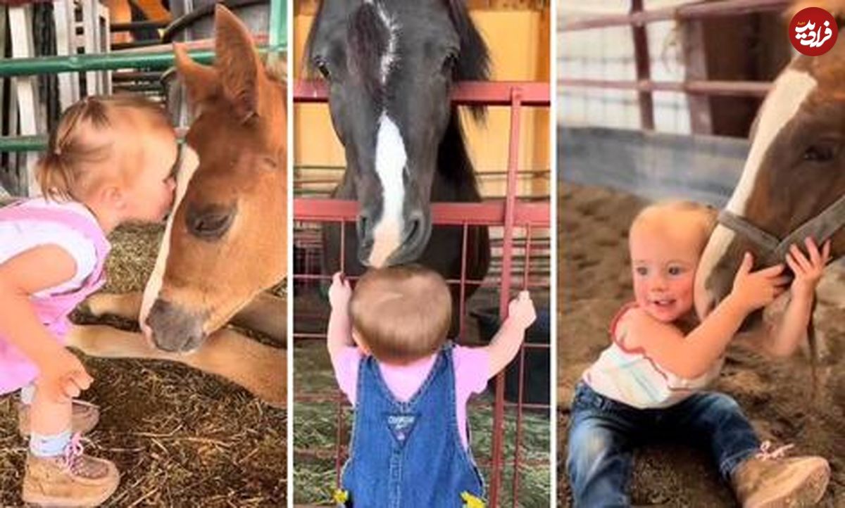 دوستی دیدنی دختر کوچولو و اسب‌ها!