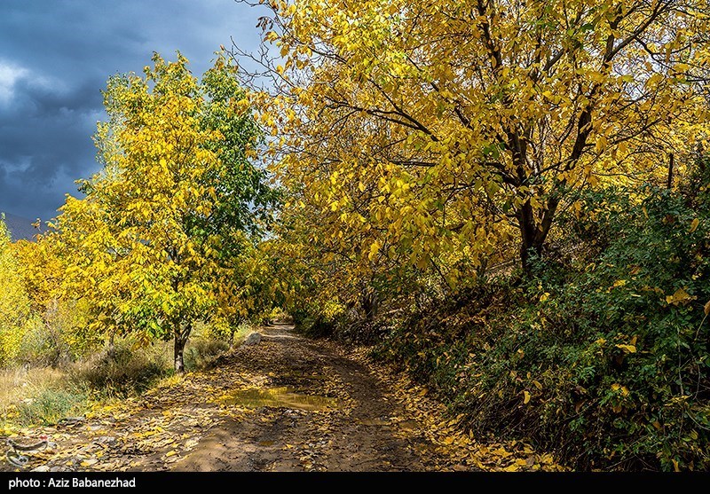 آخرین روزهای پاییز در شهرستان "سلسله" لرستان