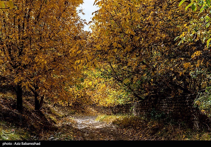 آخرین روزهای پاییز در شهرستان "سلسله" لرستان